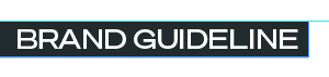Brand Guideline set in Test Söhne, reversed out of a black bar